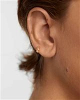 Mono orecchino PDPaola Donna COLOR in Argento PG01-204-U - PG01-204-U